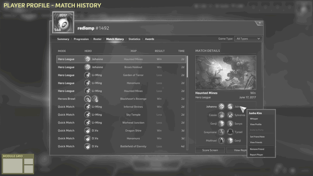 Player Profile - Match History