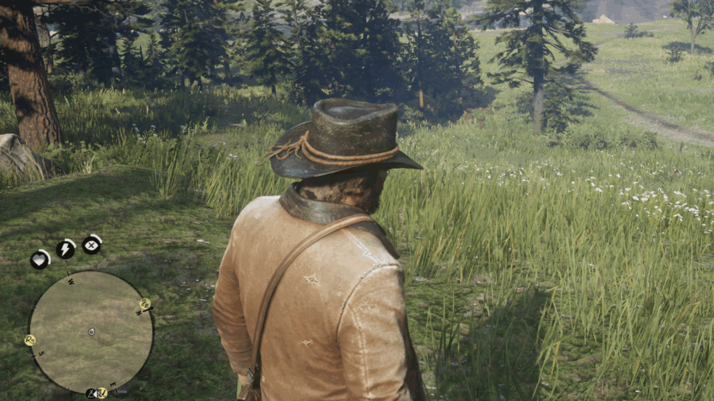 Detail Draw Distance Rdr2 Red Dead Redemption 2 – Taylor Wright
